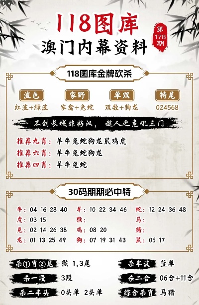 澳门管家婆100%精准香港,词语释义、专家解析解释与落实与警惕虚假宣传