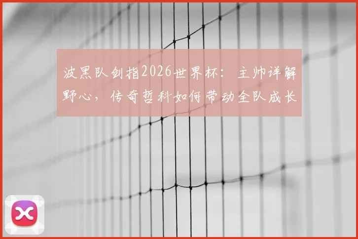 波黑队剑指2026世界杯：主帅详解野心，传奇哲科如何带动全队成长
