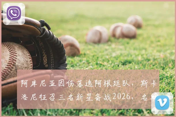 阿库尼亚因伤落选阿根廷队，斯卡洛尼征召三名新星备战2026，名单解读与未来展望